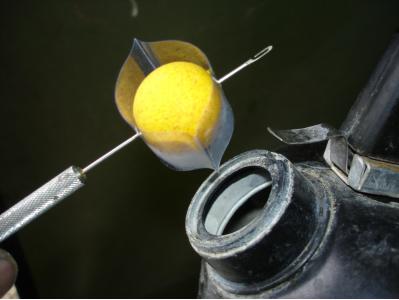Gaine thermo anti chat et �crevisse Big Carp en vente sur procarpe.com