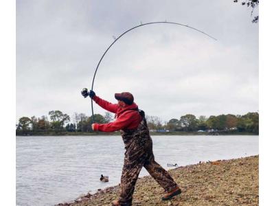 Canne XLR TE200 Big Carp en vente sur procarpe.com