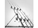 operations-speciales Rod Pod Cygnet Grand Sniper Extreme