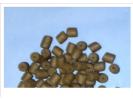appats HydroMix Pellets 2kg Big Carp