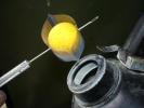 articles-peche-carpe-marque Gaine thermo anti chat et �crevisse Big Carp